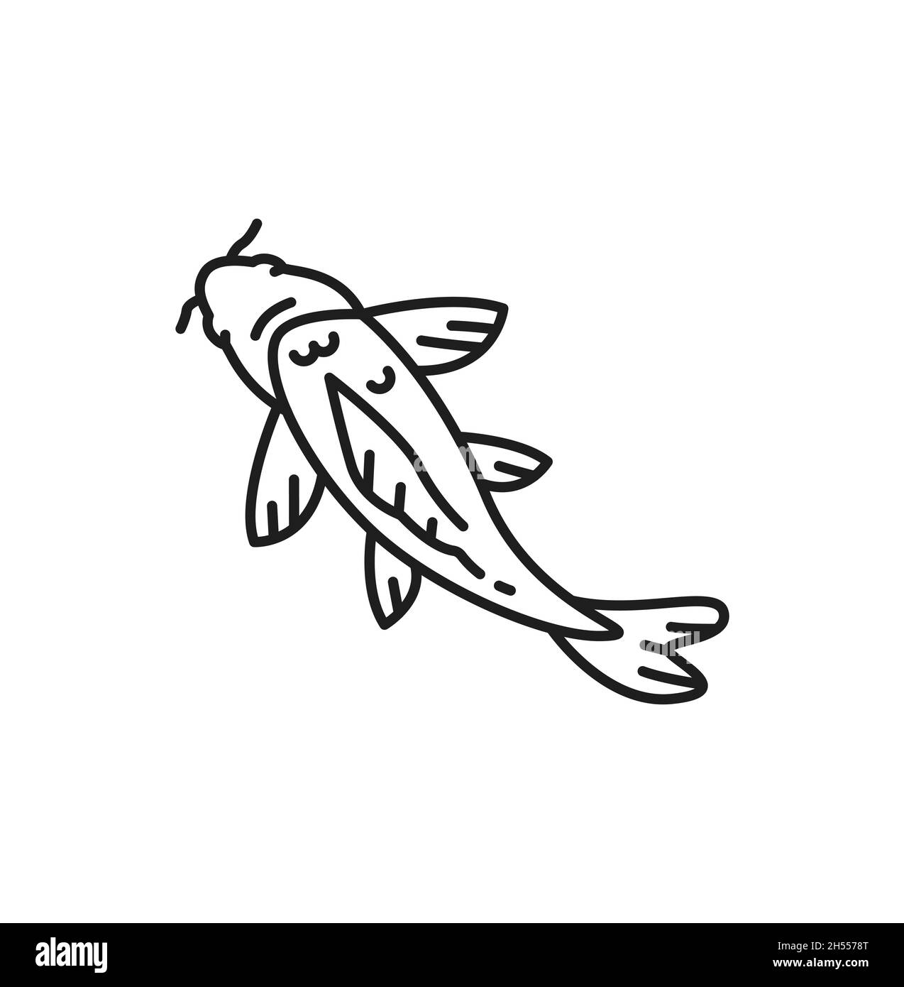 Chinese carp traditional oriental fish isolated thin line icon. Vector  horoscope astrology symbol, asian fish line art design. Oriental koi carp,  Fish Stock Vector Image & Art - Alamy