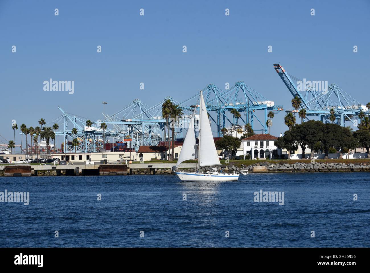 Los Angeles, CA USA - October 15, 2021: Sailboat passing the shipping containers and gantry cranes in the main channel of the Port of Los Angeles on a Stock Photo