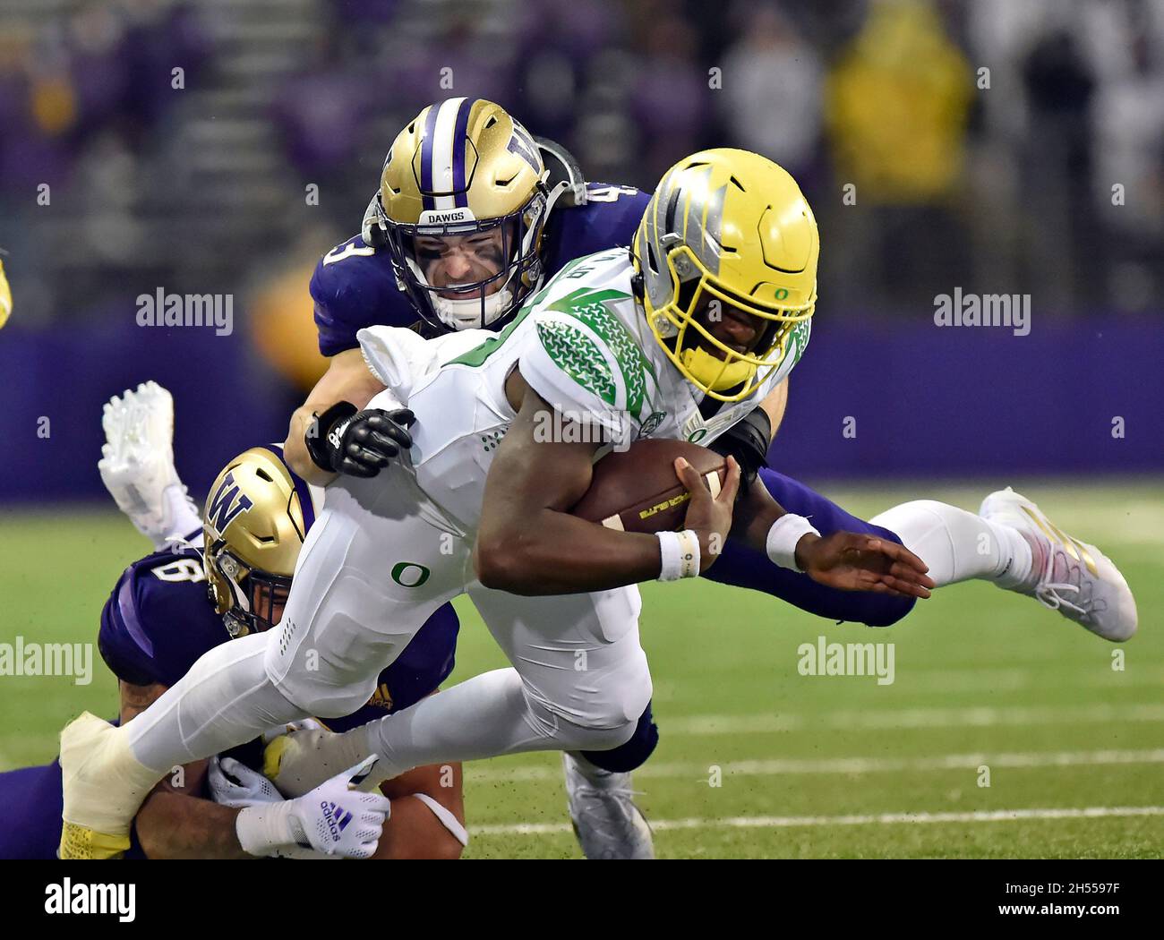 Seattle, WA, USA. 06th Nov, 2021. Oregon QB Anthony Brown gets tackled by Washington LB Bralen Trice as he carries the ball during the NCAA football game between the Oregon Ducks and Washington Huskies at Husky Stadium in Seattle, WA. Oregon defeated Washington 26-16. Steve Faber/CSM/Alamy Live News Stock Photo