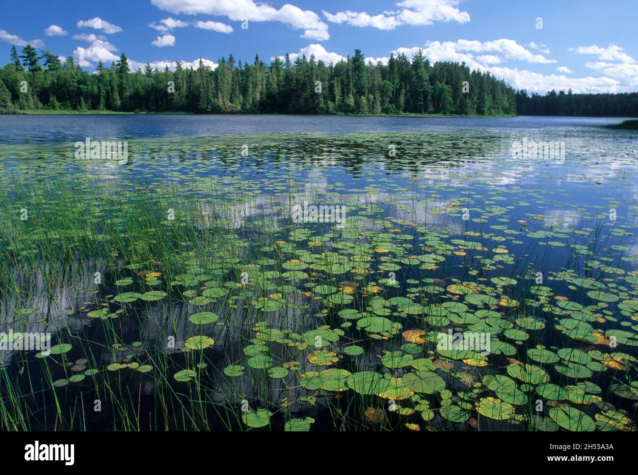 Boundary Waters Canoe Area in Minnesota Stock Photo Alamy