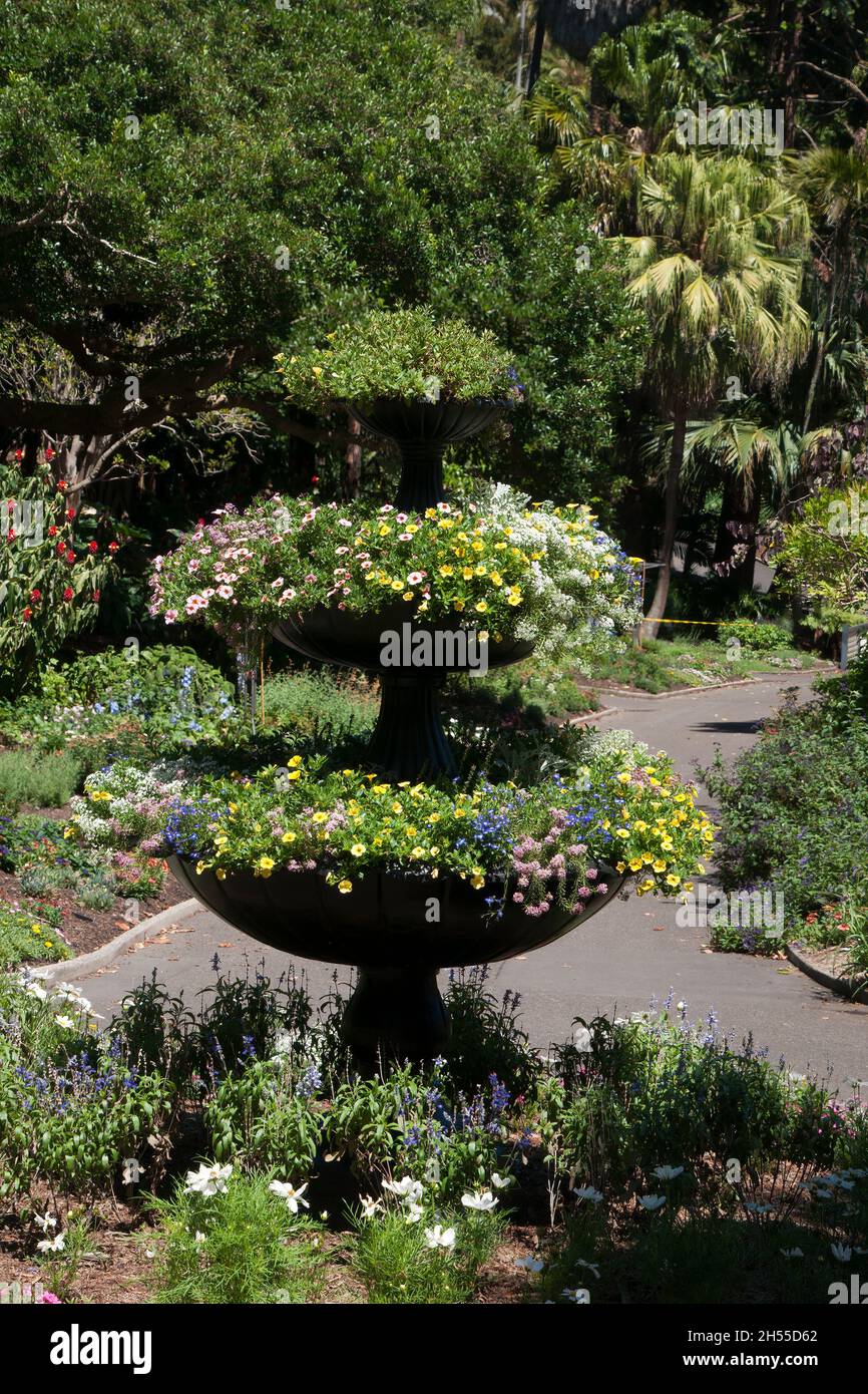 Sydney Australia, garden feature of fountain filled with summer flowers Stock Photo