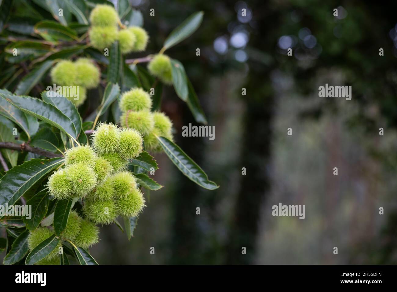 Approach protection hi-res stock photography and images - Alamy