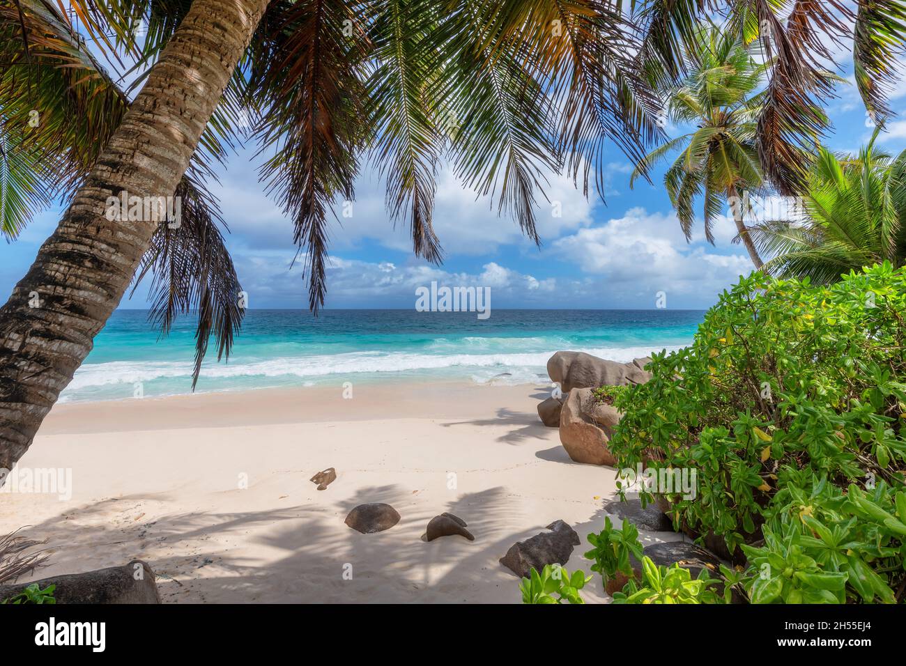 Ocean landscape tropical beach hi-res stock photography and images - Alamy