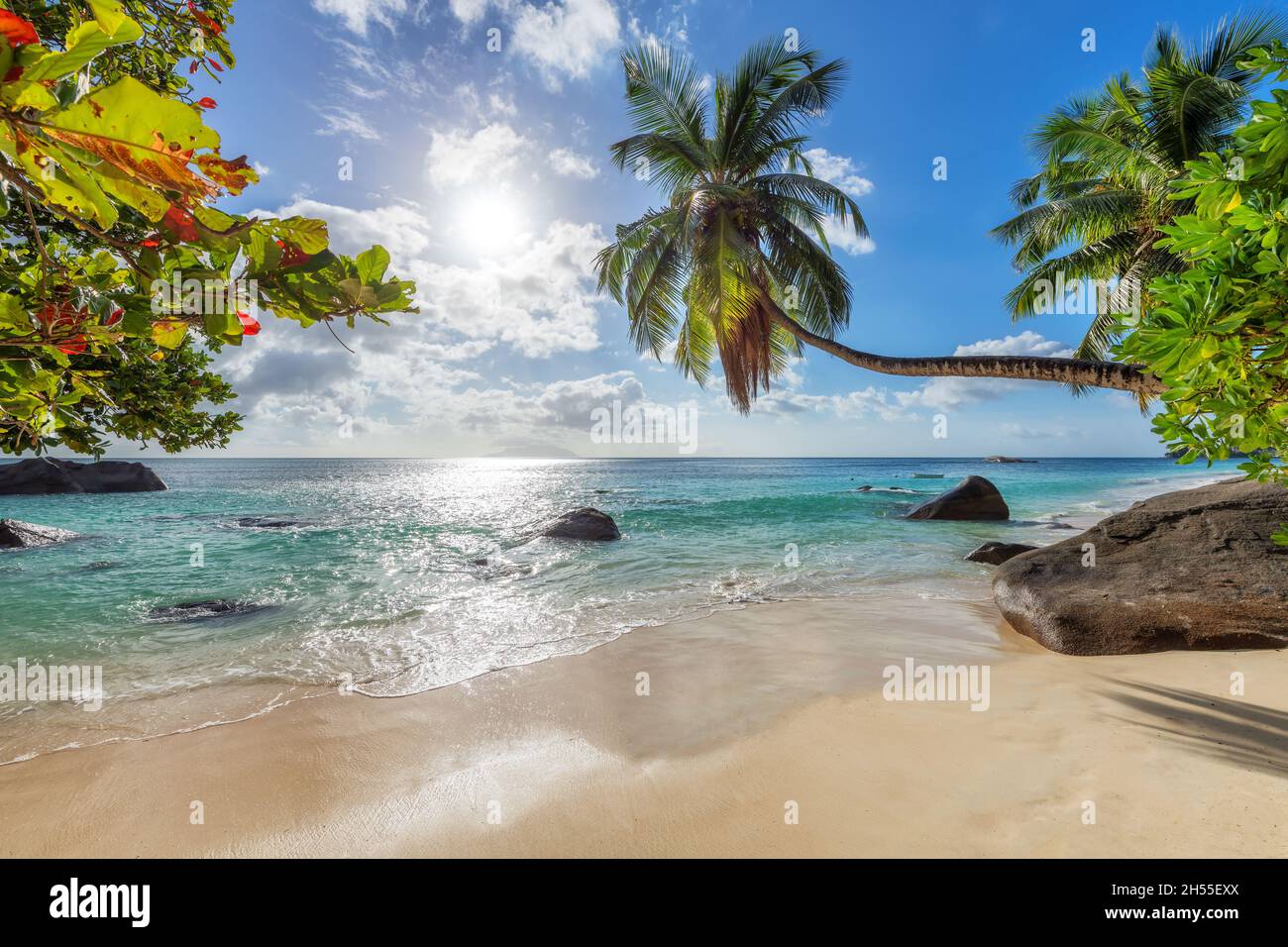 Tropical island paradise hi-res stock photography and images - Alamy