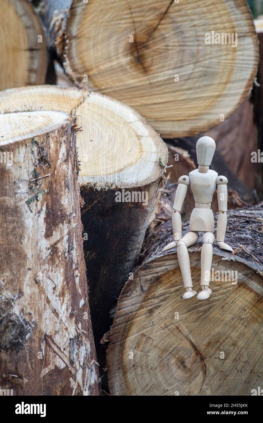 A concept of environmental destruction and indiscriminate felling of forests. deforestation and climate change. vertical image, space copy Stock Photo