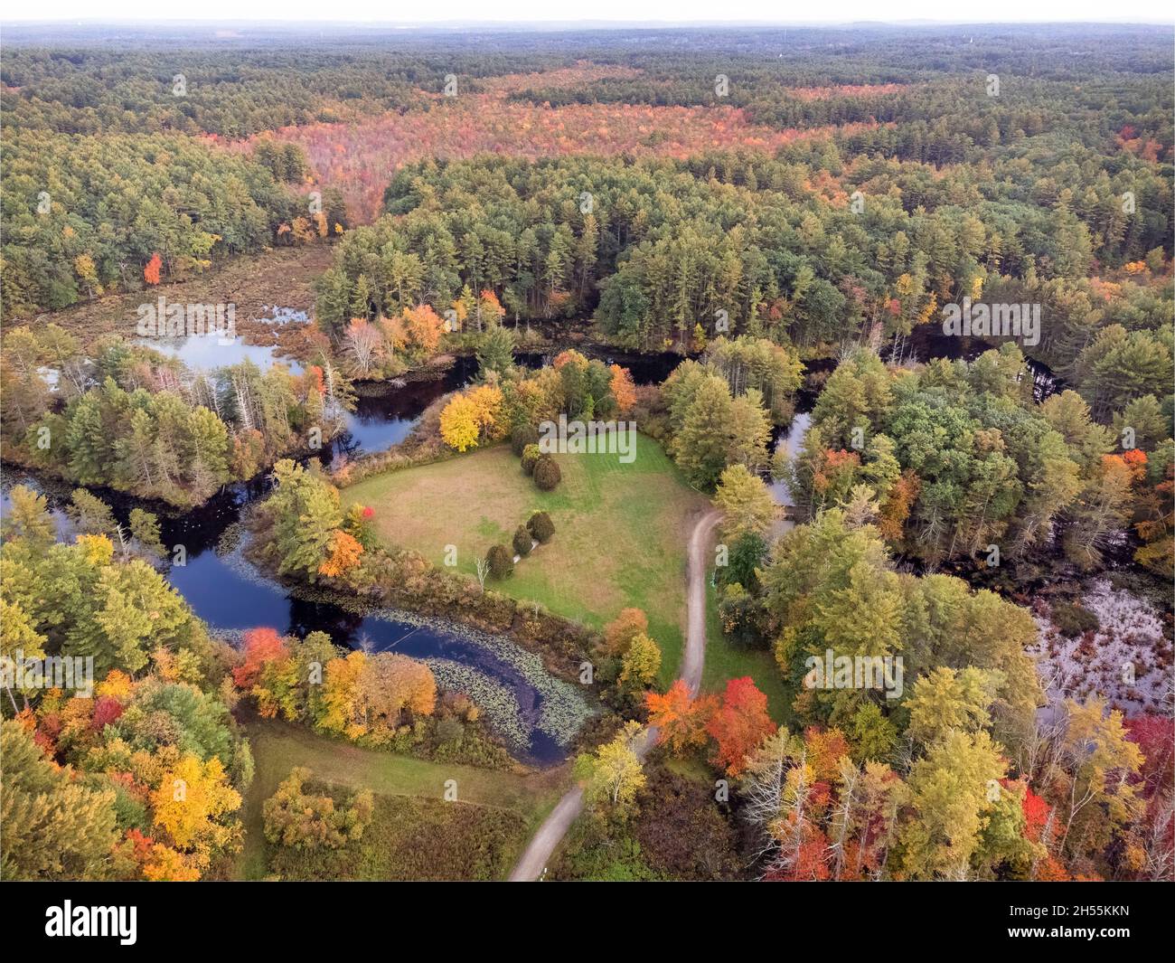 Aerial view of a forest hi-res stock photography and images - Alamy