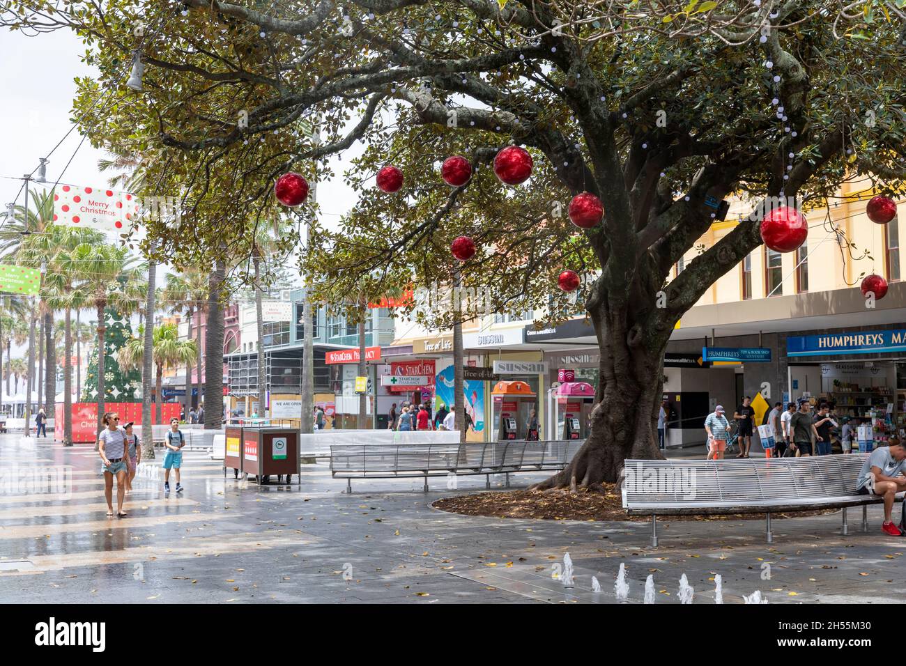 Manly Beach suburb in Sydney hangs the Christmas decorations in early