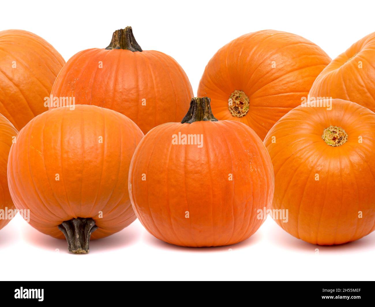 horizontal border made of Round orange pumpkins isolated on white ...