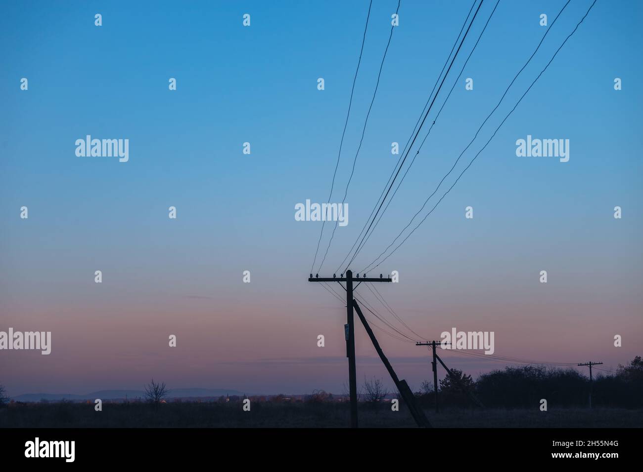 Colorful sunrise over the with trees and electric pole Stock Photo - Alamy
