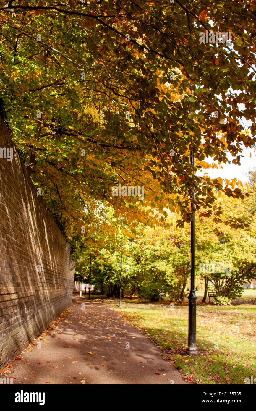 UK, Cambridgeshire - Christ's Pieces Cambridge in the Autumn Stock Photo