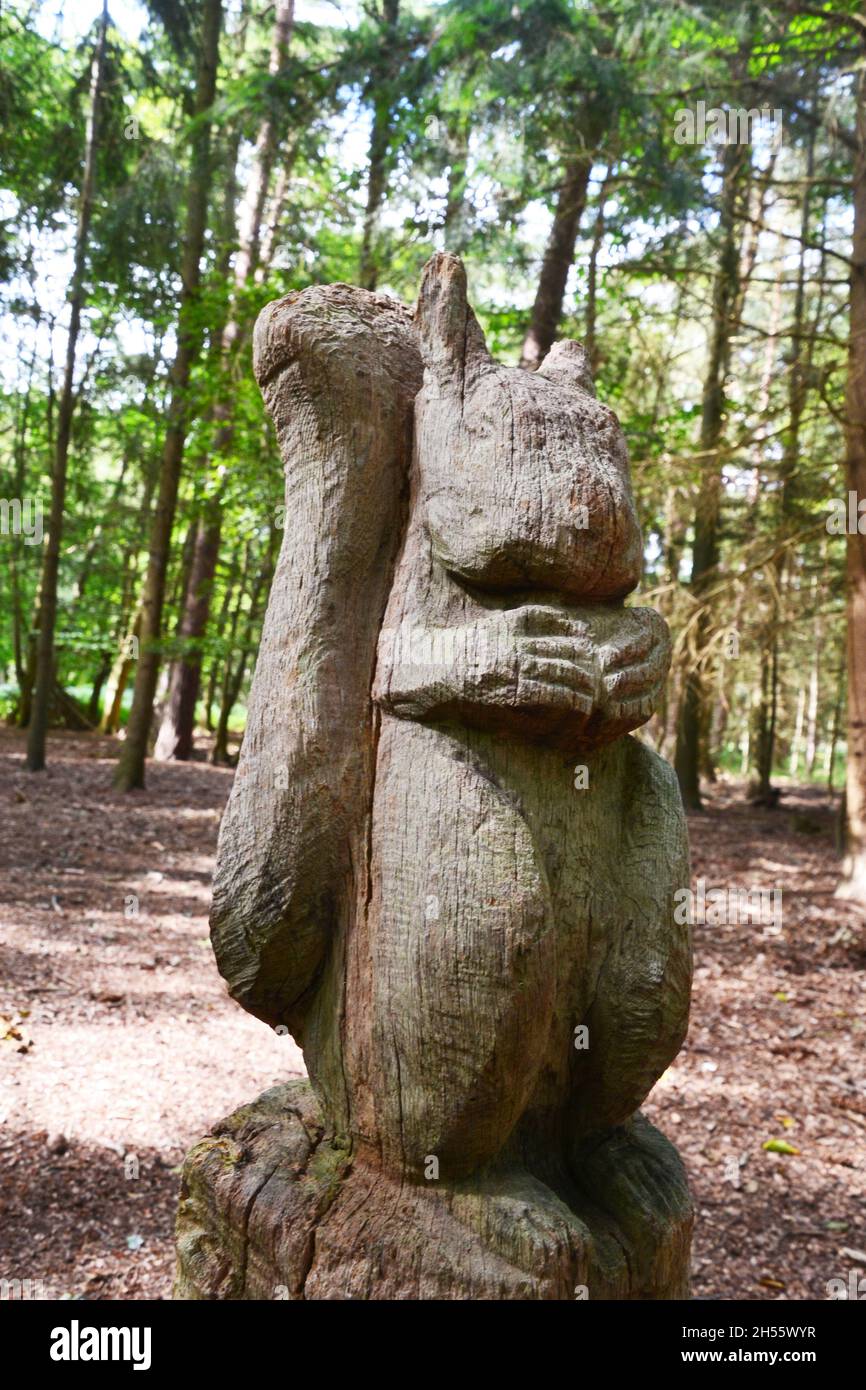 Carved squirrel sculpture in the Tangham Wood Sculpture Area, Rendelsham Forest, Suffolk, UK Stock Photo