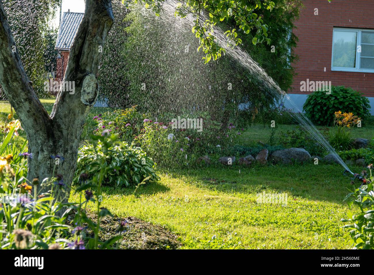 Smart garden activated with full automatic sprinkler irrigation system