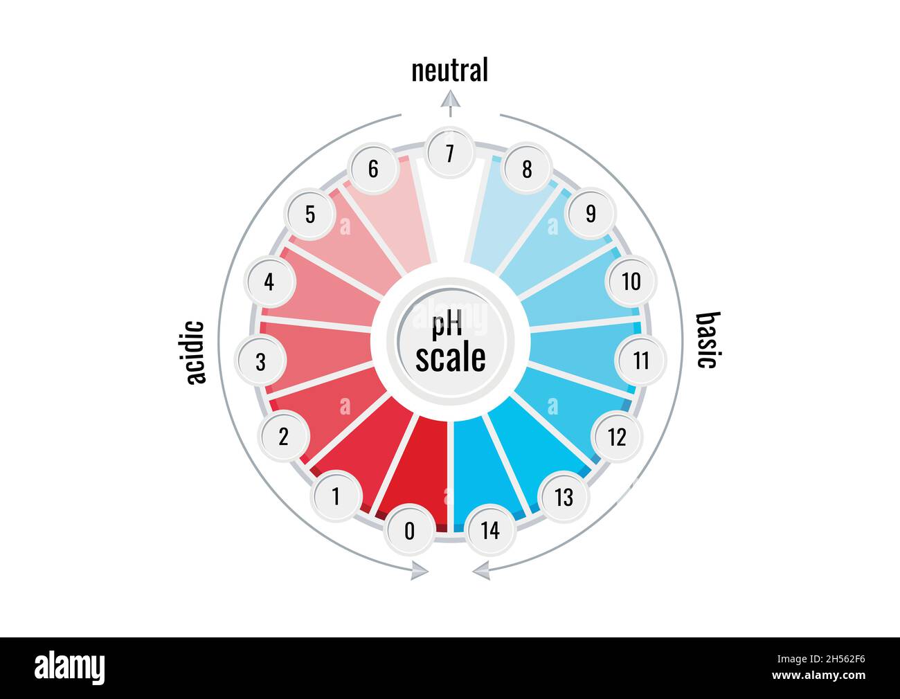 pH value scale chart meter for acid and alkaline solutions Stock Vector