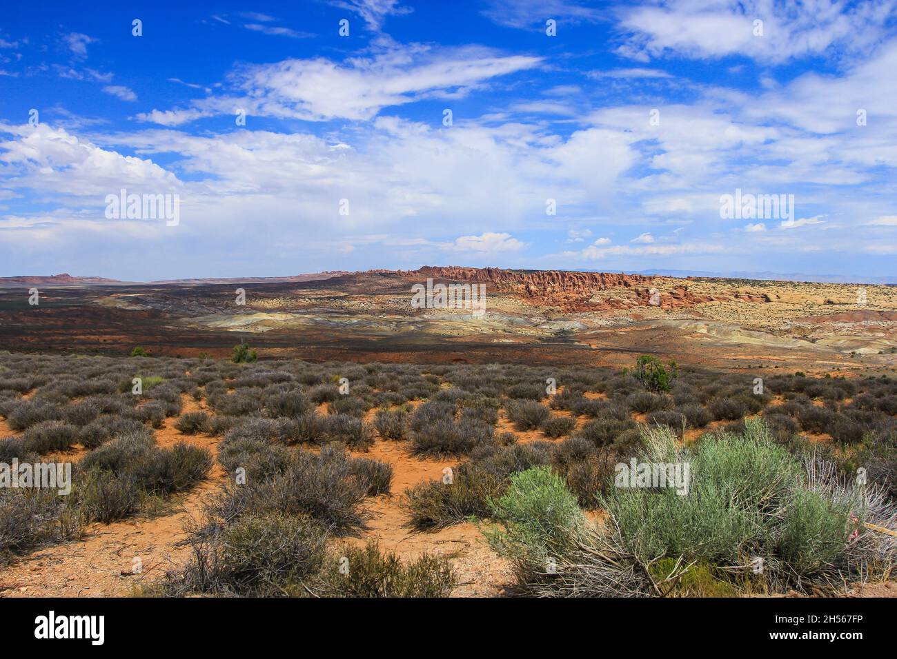 Arches National Park trail view on sunny summer day | Amazing landscape with scrubby vegetation, dry land with sandstone formations in the distance Stock Photo