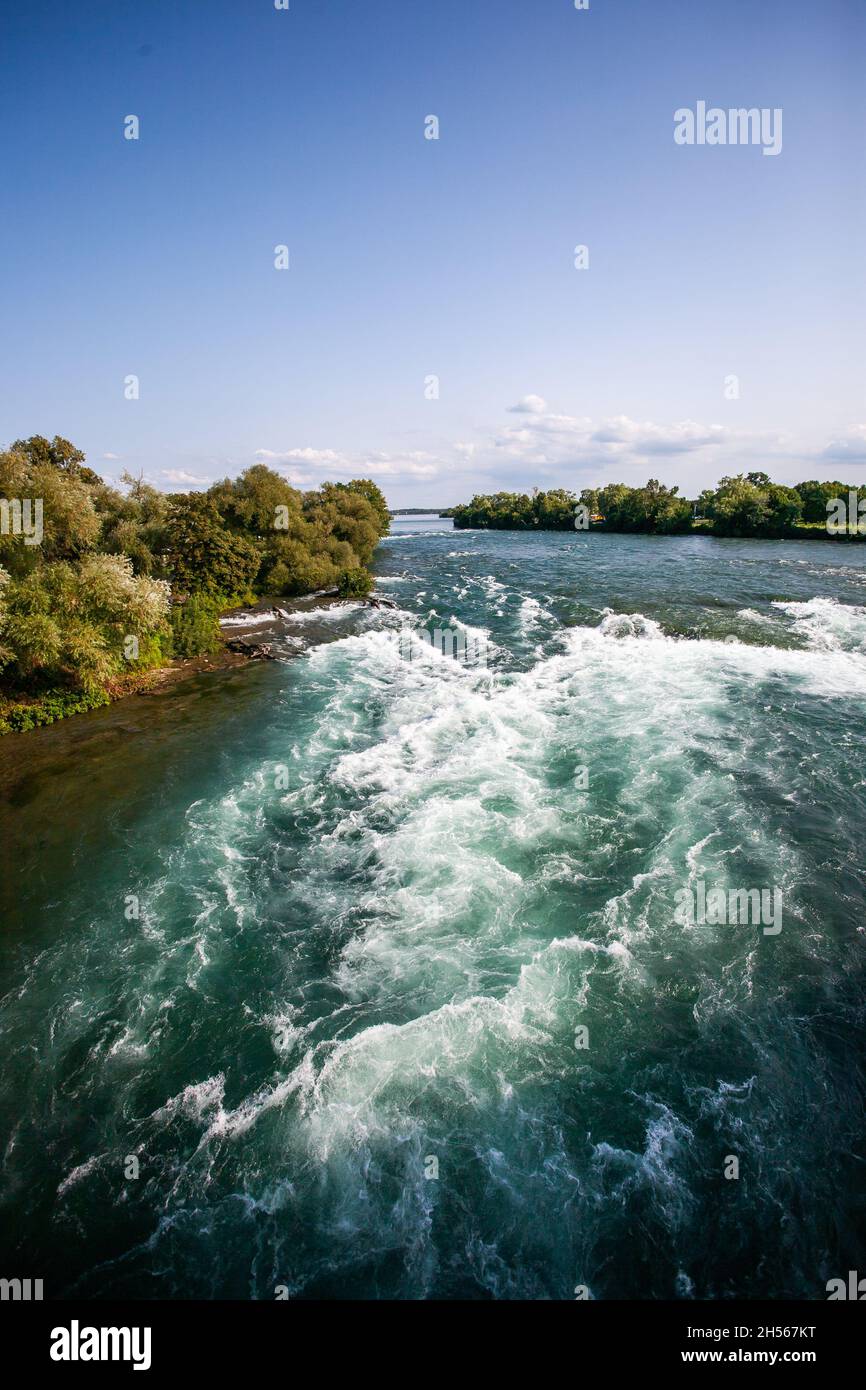 Rapid foaming river with green moss on bottom, trees on the banks | Swift river, Water foaming, Waves, Fast current, Sunny day, blue sky, Beautiful Stock Photo