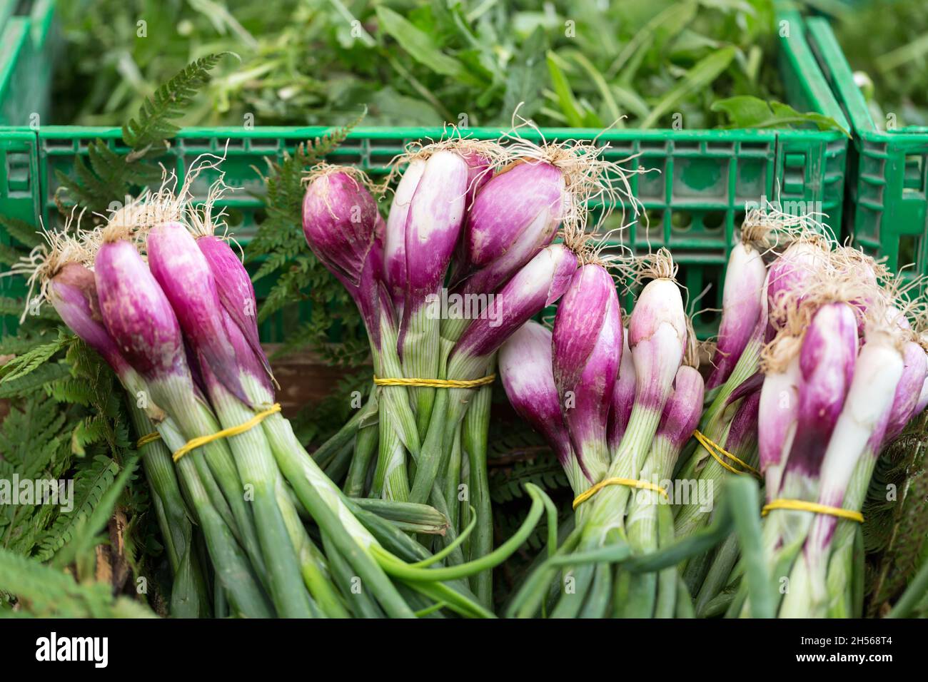 fresh, red onion at the farmers market Stock Photo - Alamy
