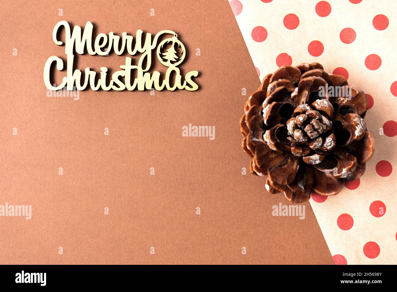 Pinus pinea, stone pine cone. Brown italian pine cone. Christmas concept. Copy space, top view Stock Photo