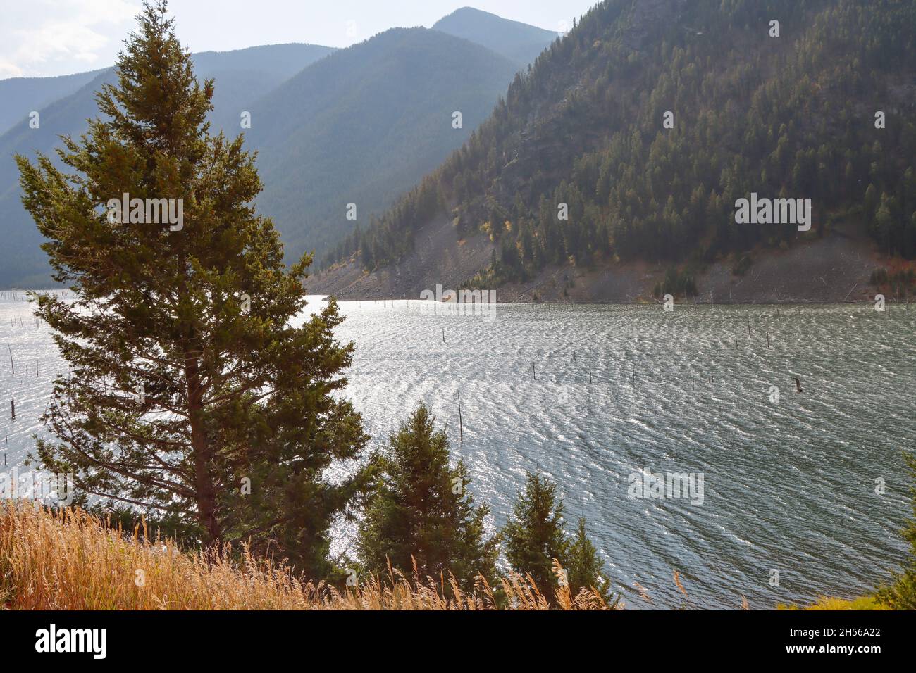 Hebgen Lake, Montana Stock Photo Alamy