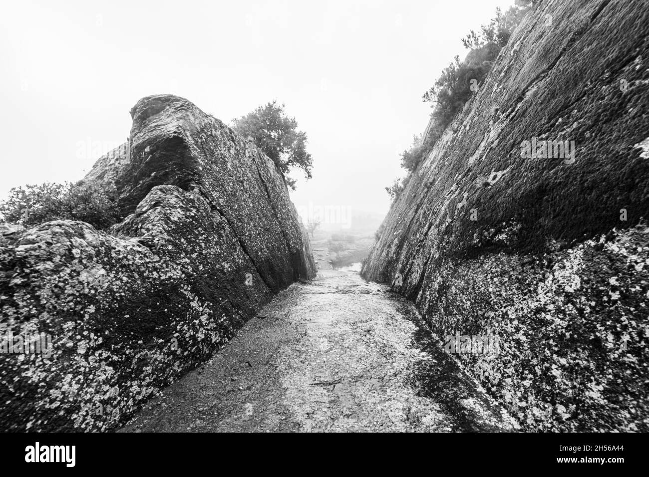Black and White Image of the moat at Fort Freinet, above Le Garde-Freinet, Var, France. Stock Photo