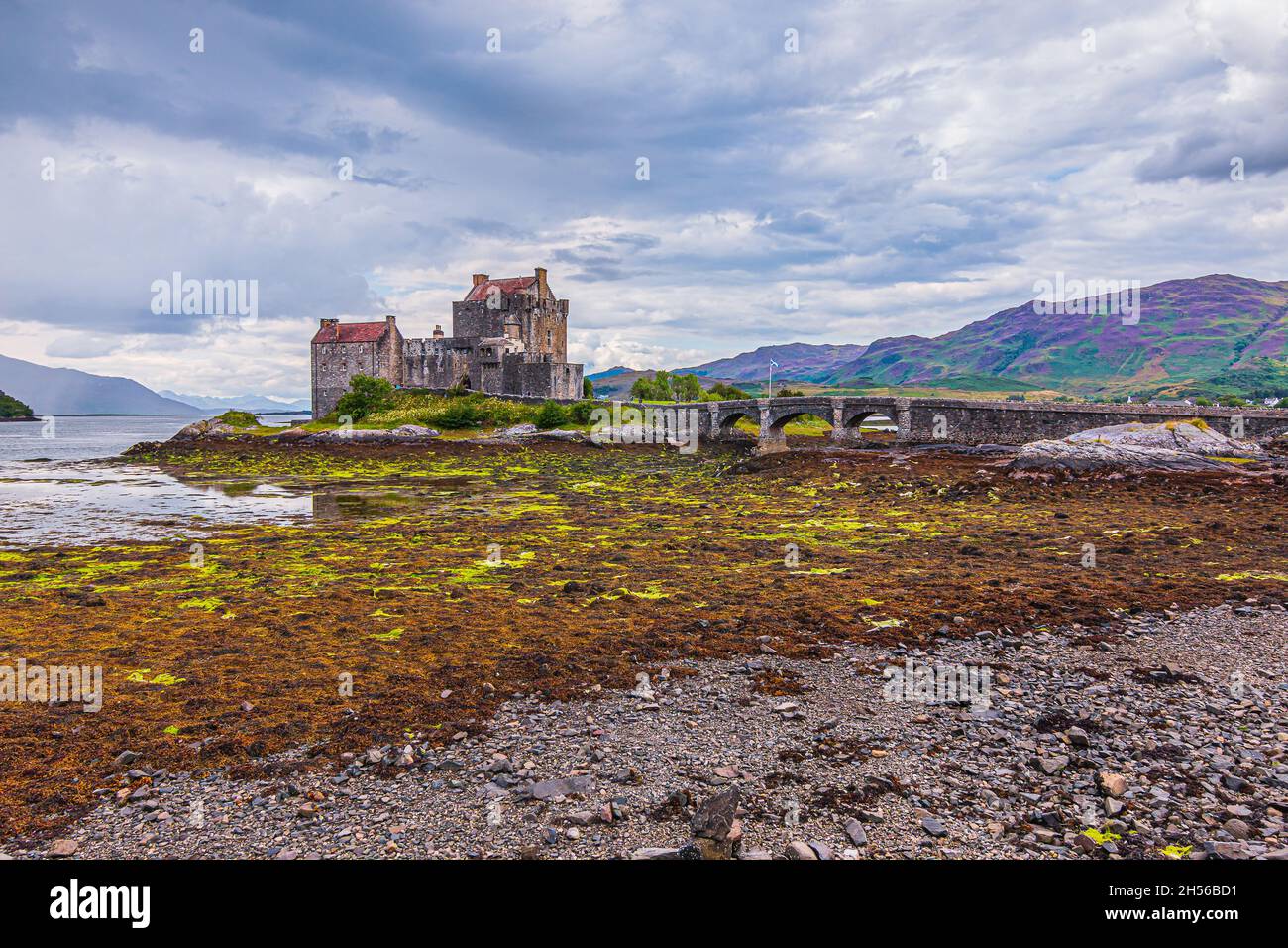 Loch Duich at low tide with Eilean Donan Castle in summer Island with a castle and a stone bridge and small archways. Green and purple colors from the Stock Photo