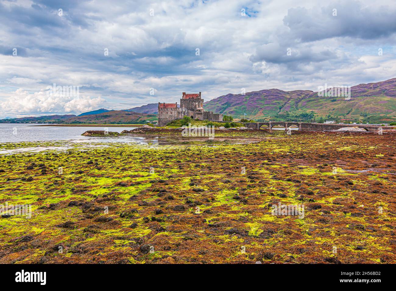 Lake with the island of Eilean Donan Castle in summer at low tide. Stone bridge to the castle with archways. Rocks and stones with green algae in the Stock Photo