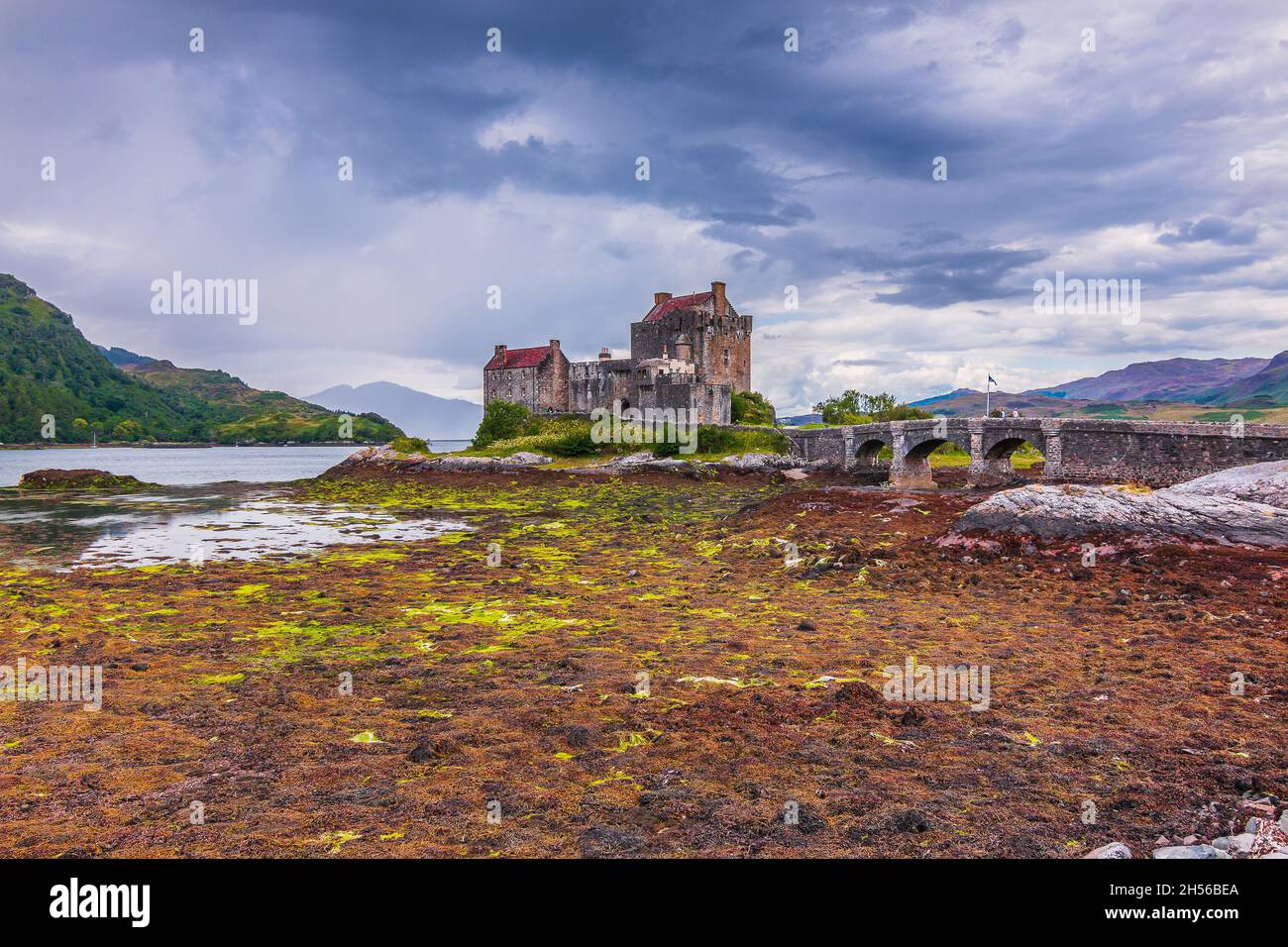 Lake Loch Duich at low tide. Eilean Donan Castle in summer on the island. Castle and a stone bridge and small archways. Algae on stones in the foregro Stock Photo