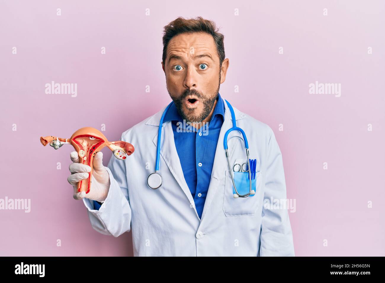 Middle age gynecologist man holding anatomical model of female genital organ scared and amazed with open mouth for surprise, disbelief face Stock Photo