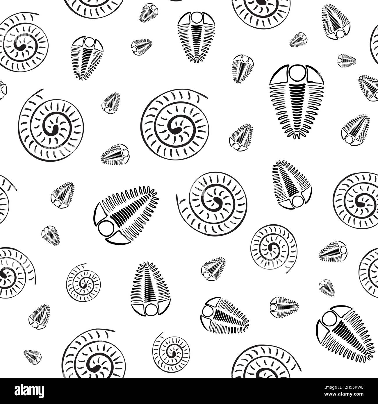 Ammonite trilobite vector seamless pattern background. Hand drawn ...