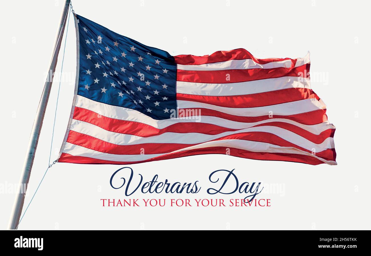 Veterans Day 11th of November holiday Banner.  Stock Vector