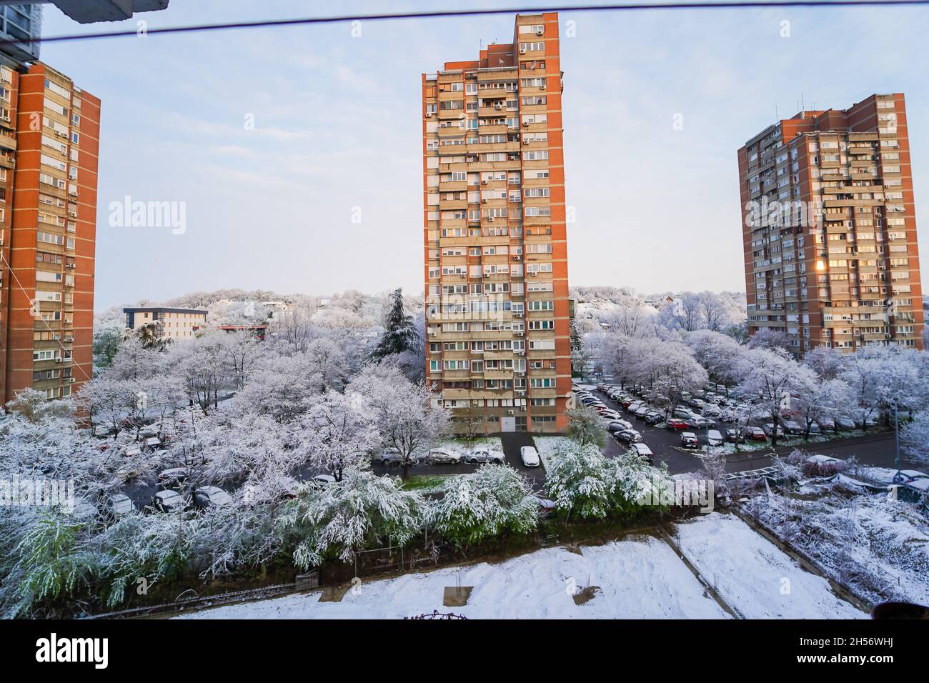 Wide image of the New Belgrade block 4 socialist era buildings during the Winter with a lot of snow covering the trees and cars on the street Stock Photo