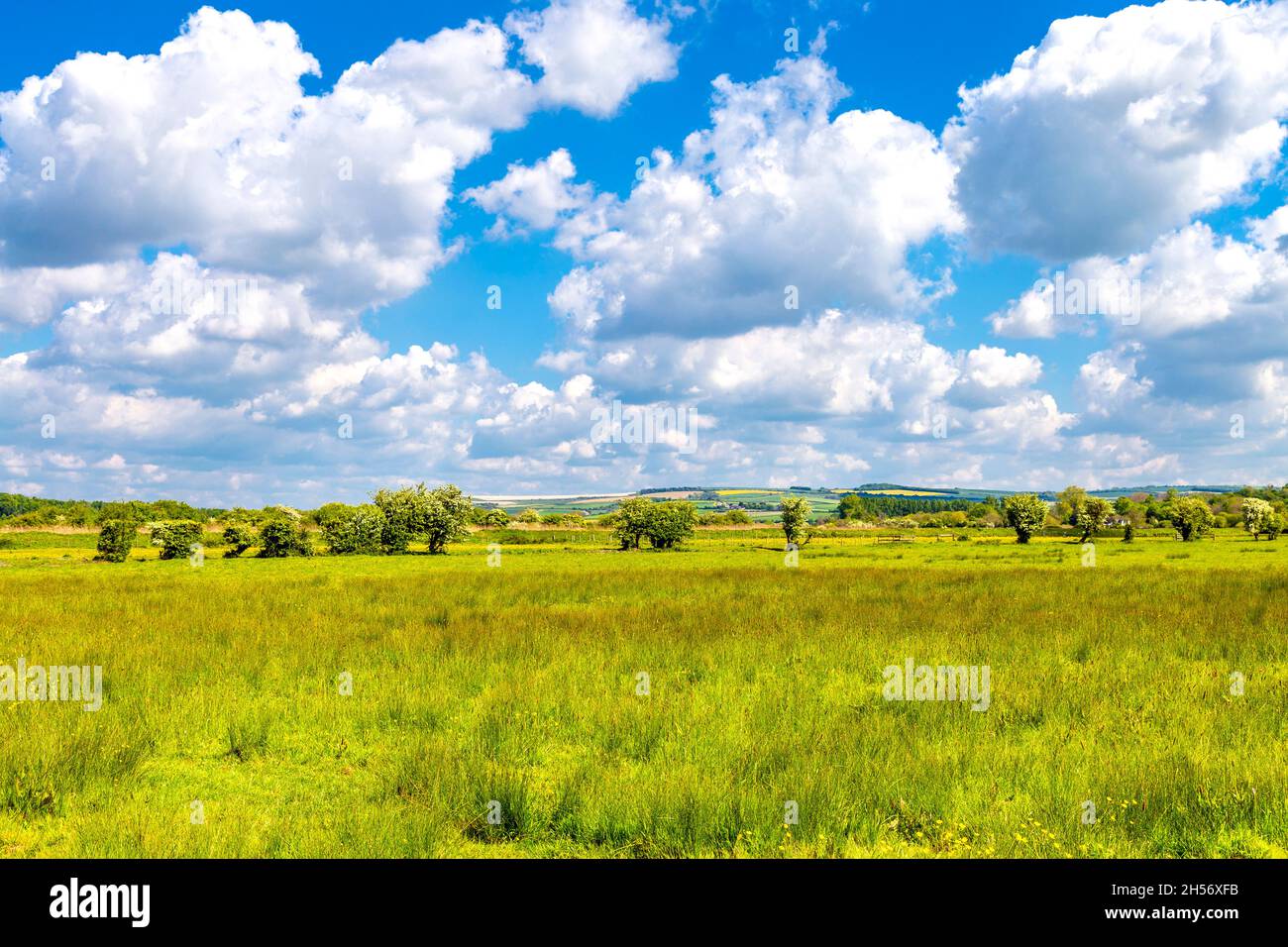 Countryside surrounding the town of Arundel, West Sussex, UK Stock Photo
