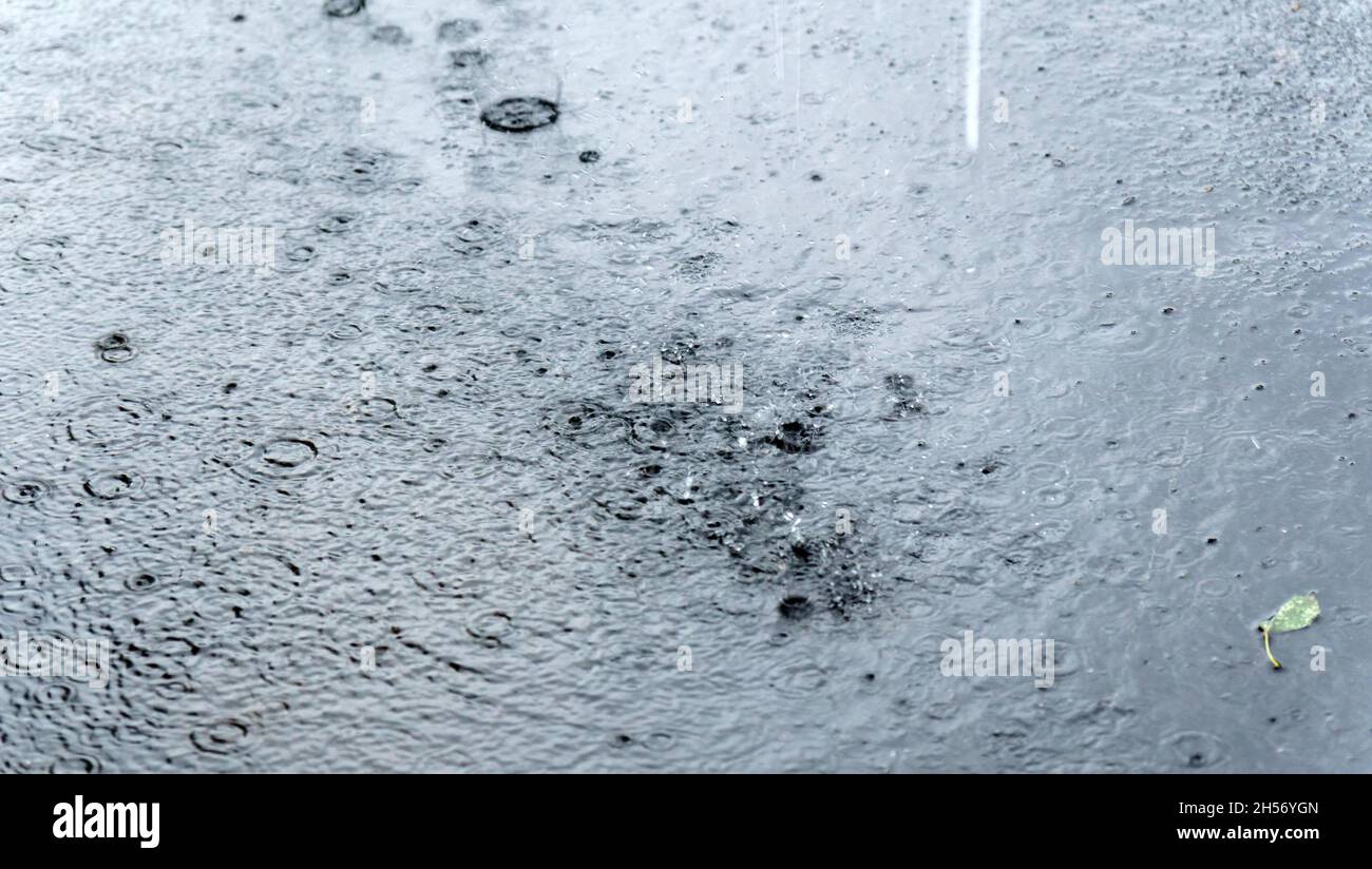 Raindrops in puddle on pavement hi-res stock photography and images - Alamy