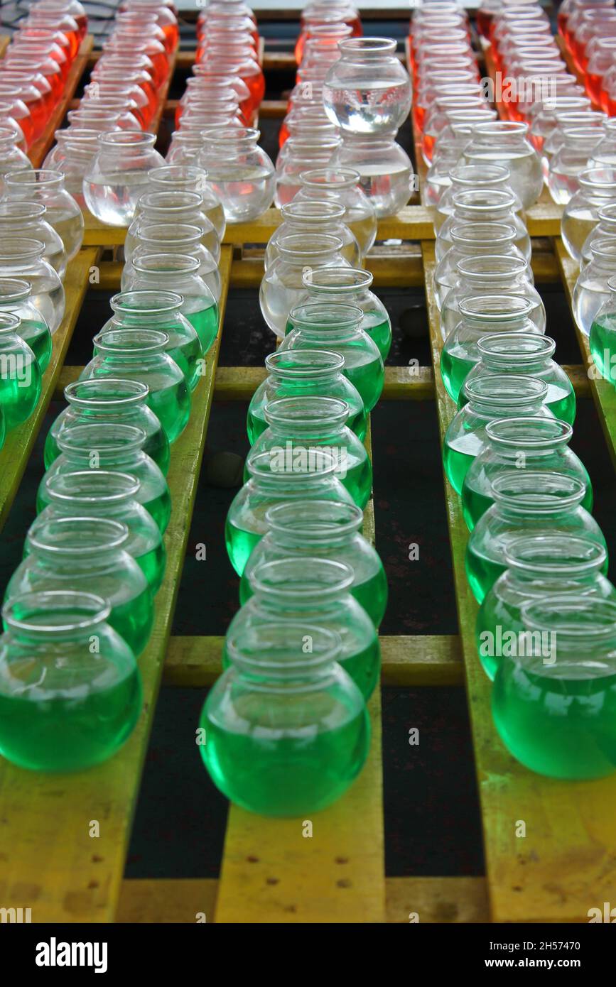 Fish bowl carnival game with many colorful bowls Stock Photo Alamy