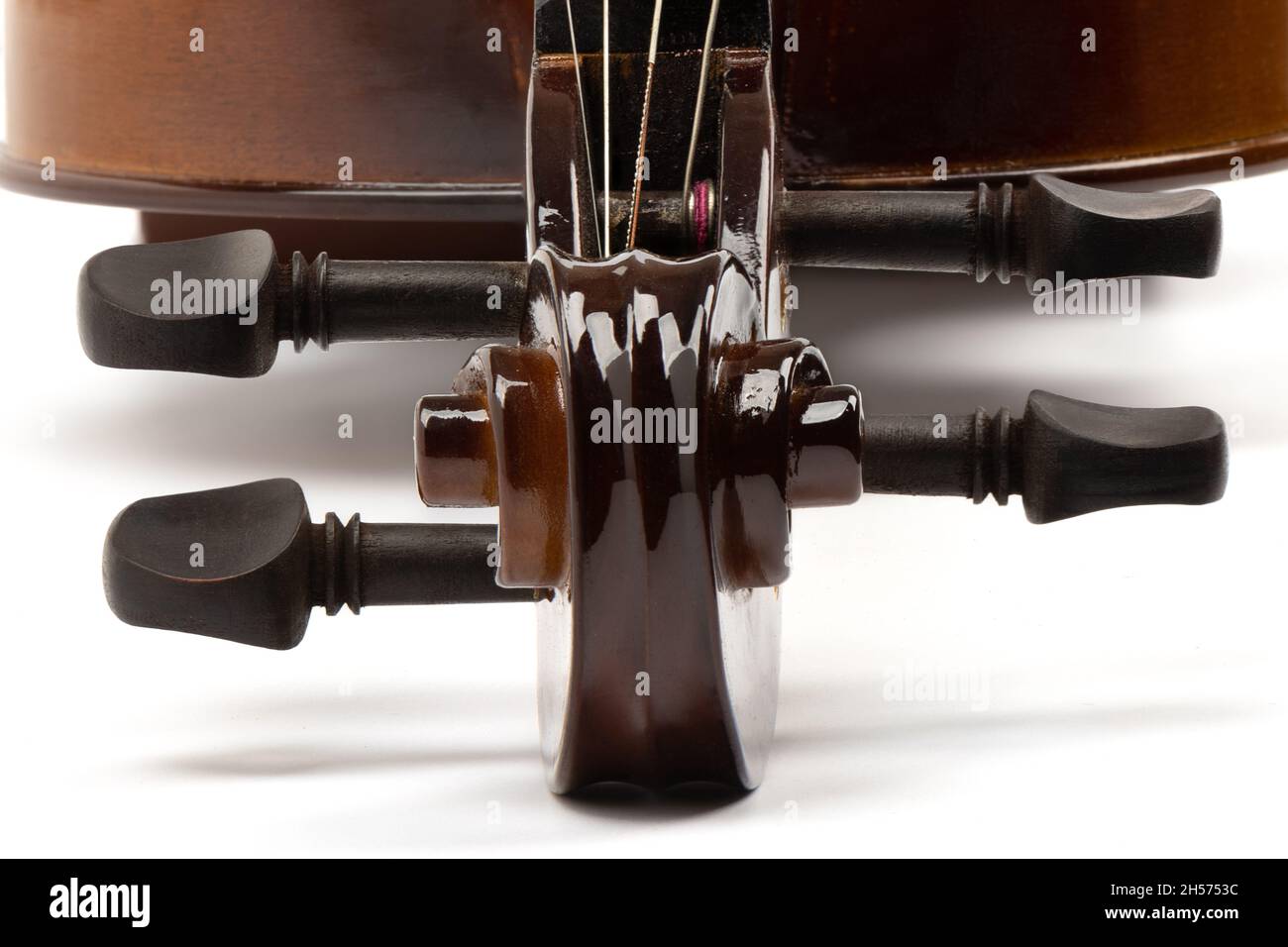 Violin curl and pegs close-up. Violin on a white background. Copy space Stock Photo