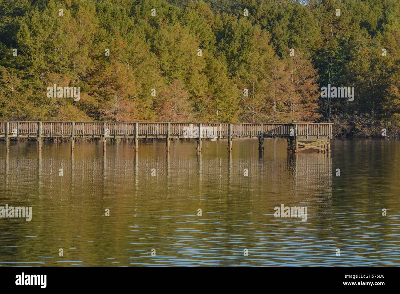 Fishing and walking bridge on Lake D''Arbonne in Louisiana Stock Photo