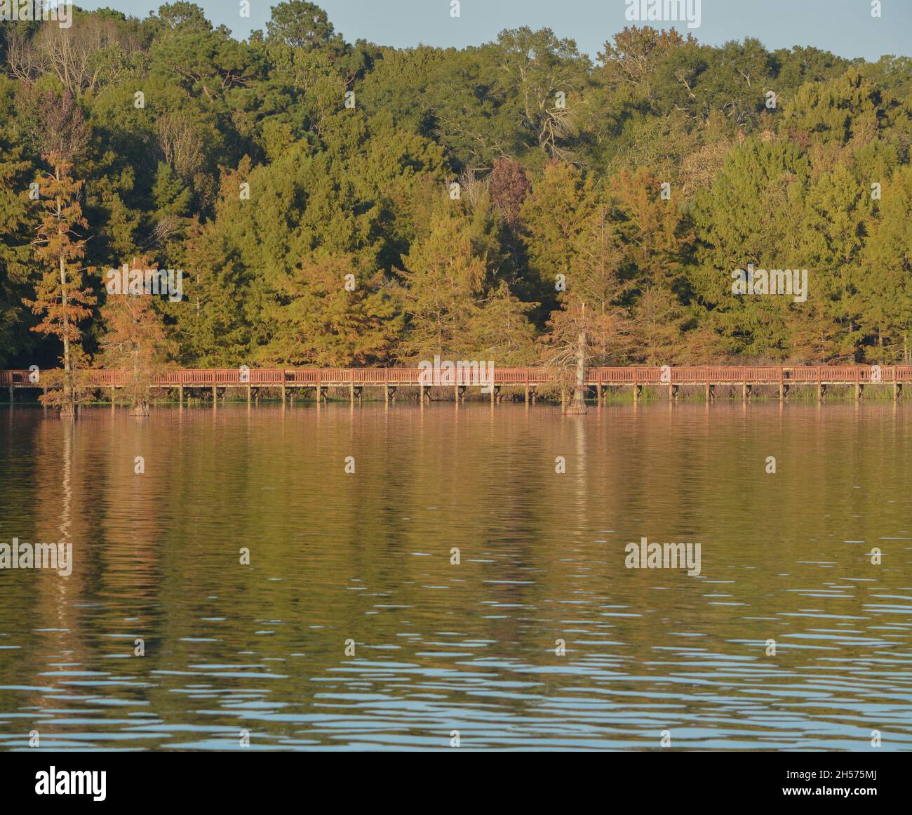Fishing and walking bridge on Lake D''Arbonne in Louisiana Stock Photo