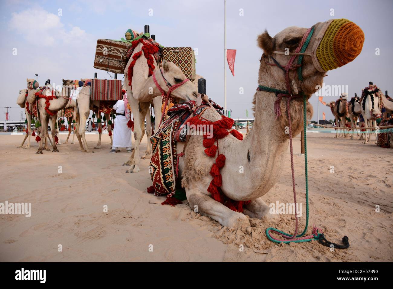 A camel caravan in the Empty Quarter desert of the Arabian Peninsula Stock Photo
