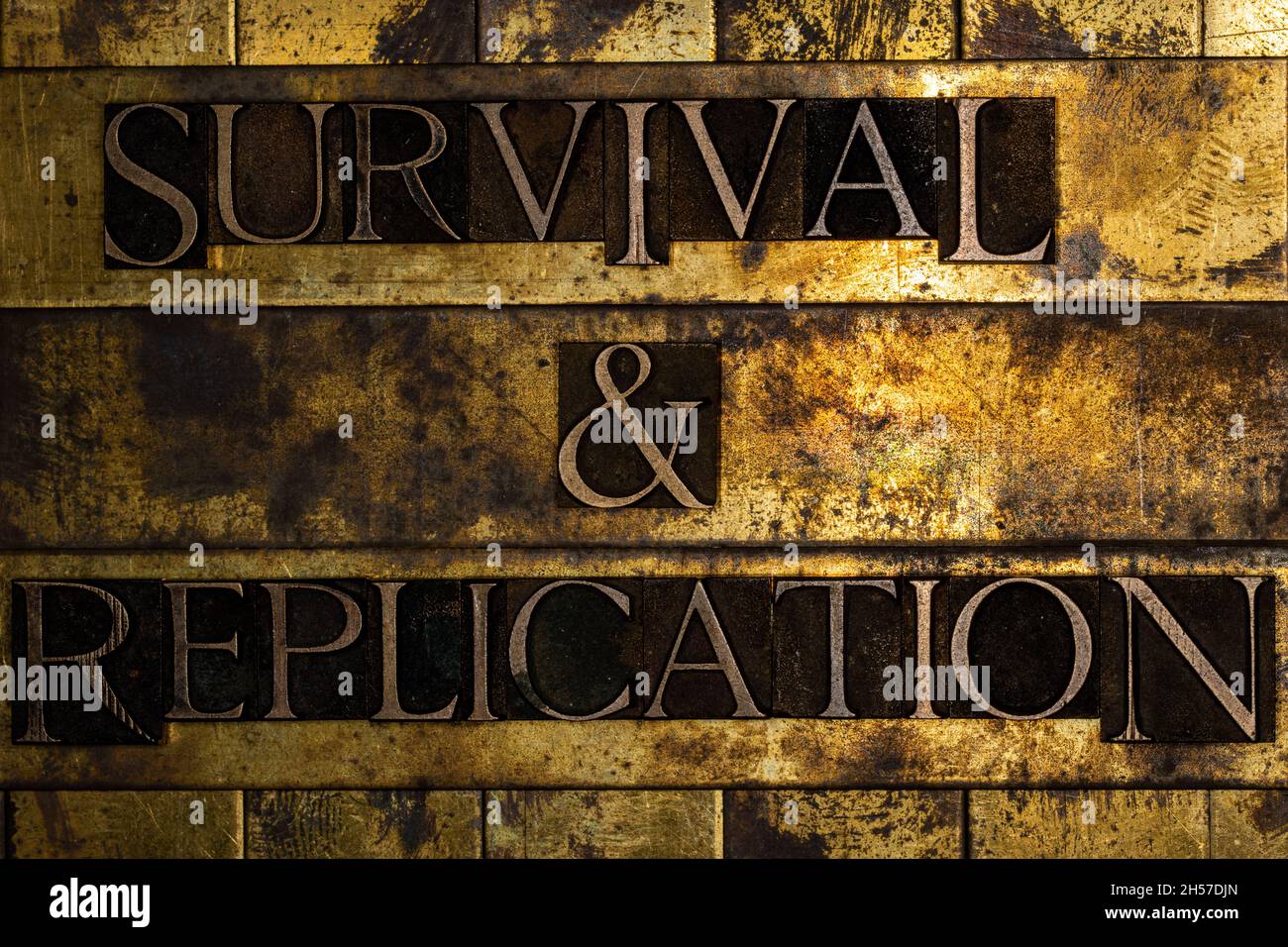 Survival and Replication text on textured grunge copper and vintage gold background Stock Photo