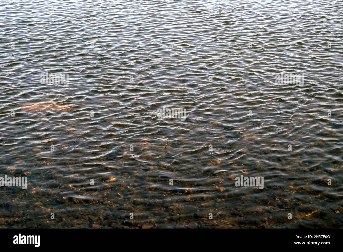 Ripples on water, calmness on river, view of reservoir from the shore Stock Photo