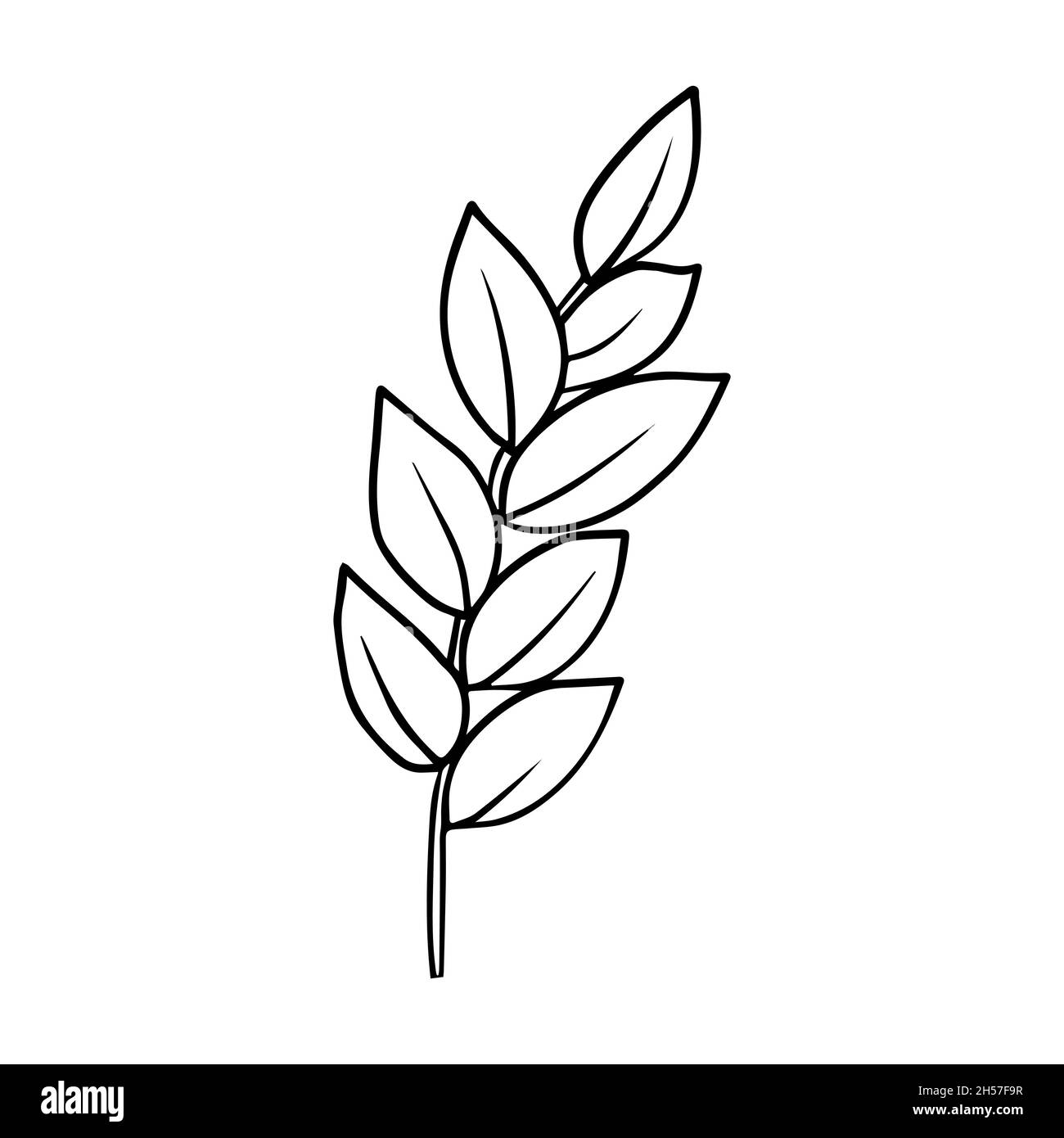 Contour drawing of a branch with leaves. Vector isolated clipart. Minimal monochrome hand-drawn botanical design. Stock Vector