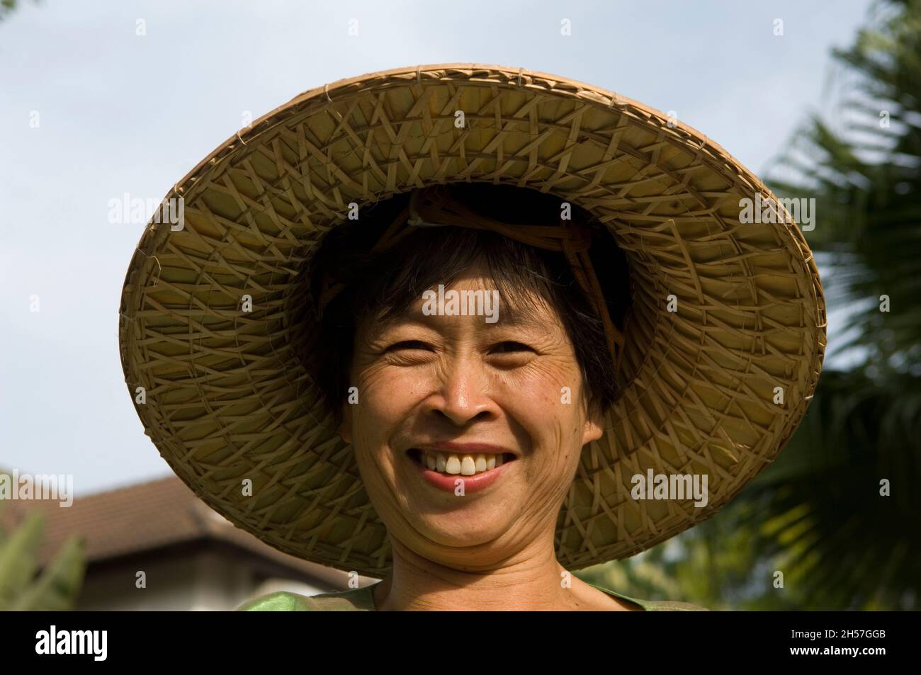 Smiling Thai lady,Thailand Stock Photo