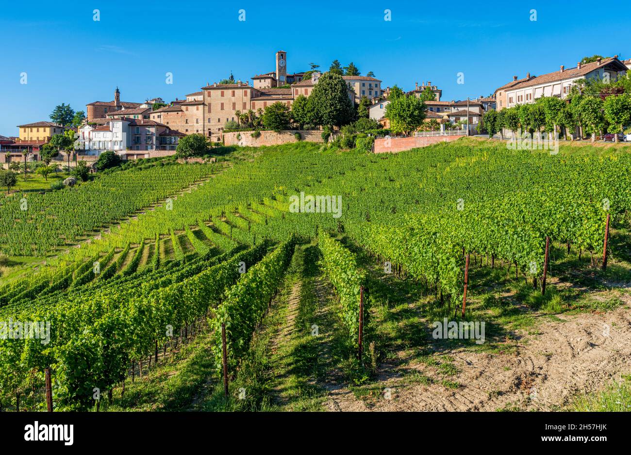 The beautiful village of Neive and its vineyards in the Langhe region of Piedmont, Italy. Stock Photo