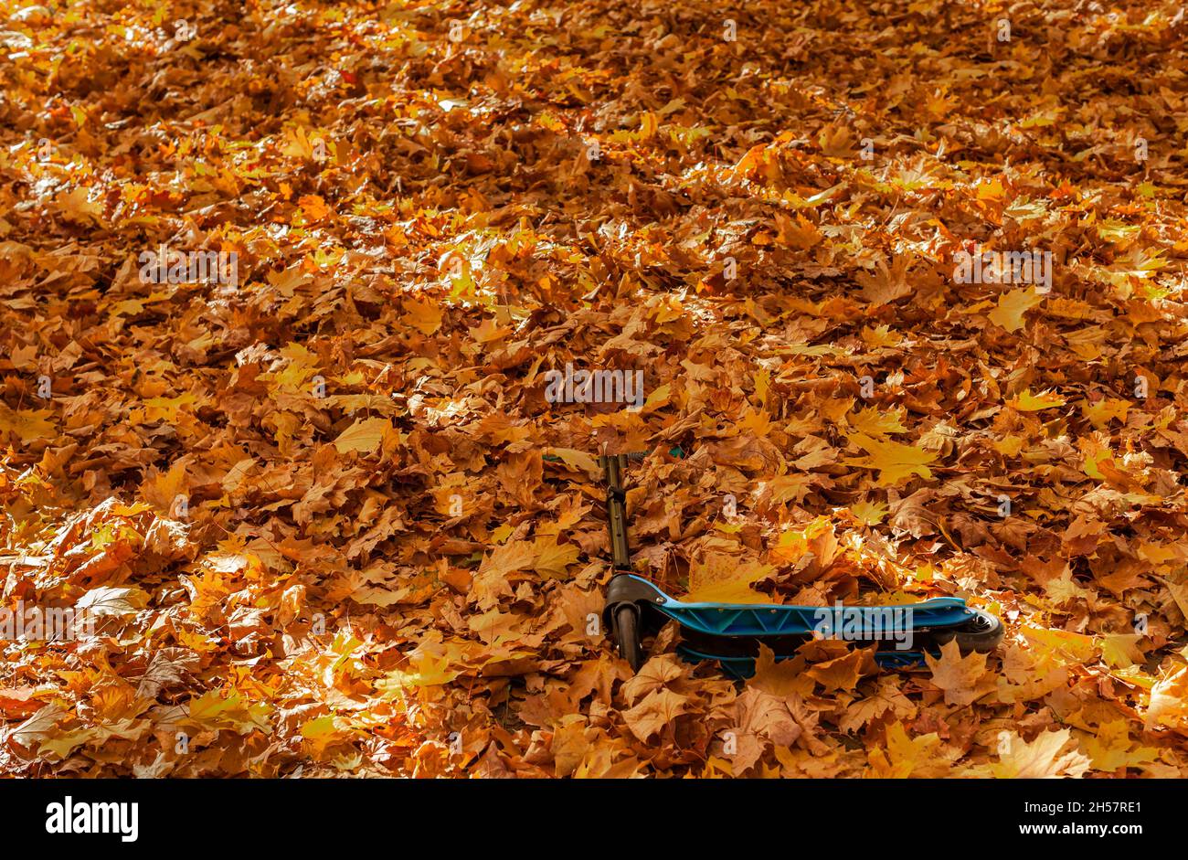 scooter lying in the autumn foliage Stock Photo