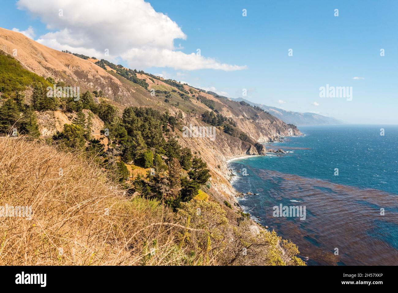 Scenic pacific coast at the Big Sur Highway No 1 in California, USA Stock Photo