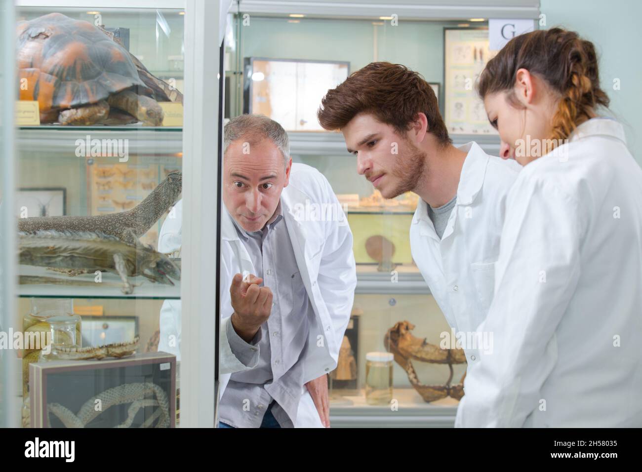 in the zoology lab Stock Photo