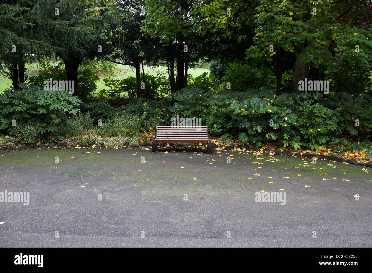 Empty Bench in the Park Stock Photo - Alamy