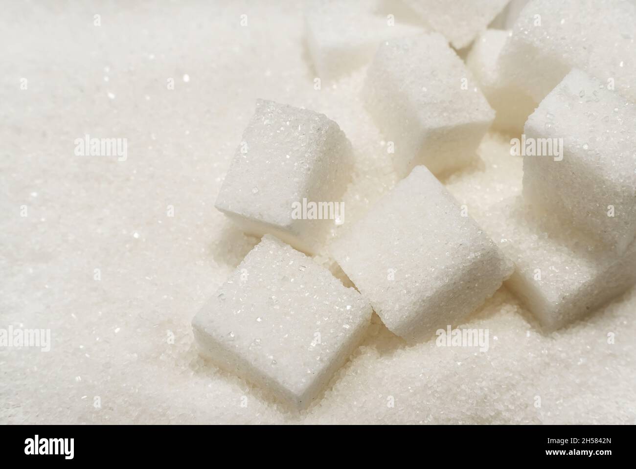 Refined sugar cubes are scattered over loose sugar. Sucrose ingredient ...