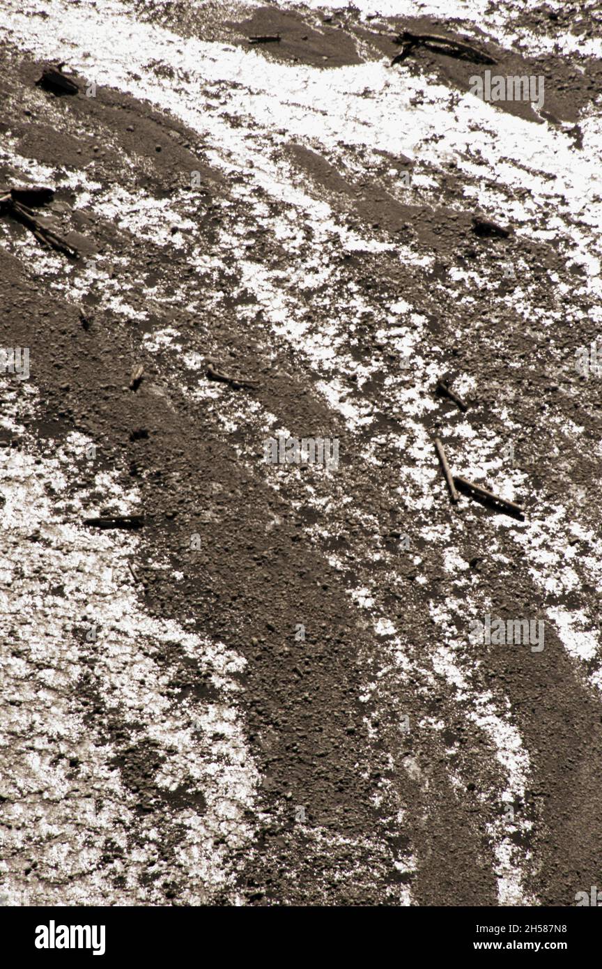Dendritic rivulets of water dividing on shingle bed in the Rhine gorge ...