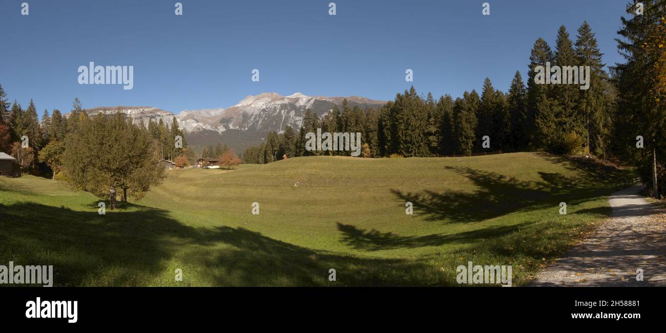 Meadows and woods around Flims, Switzerland Stock Photo - Alamy