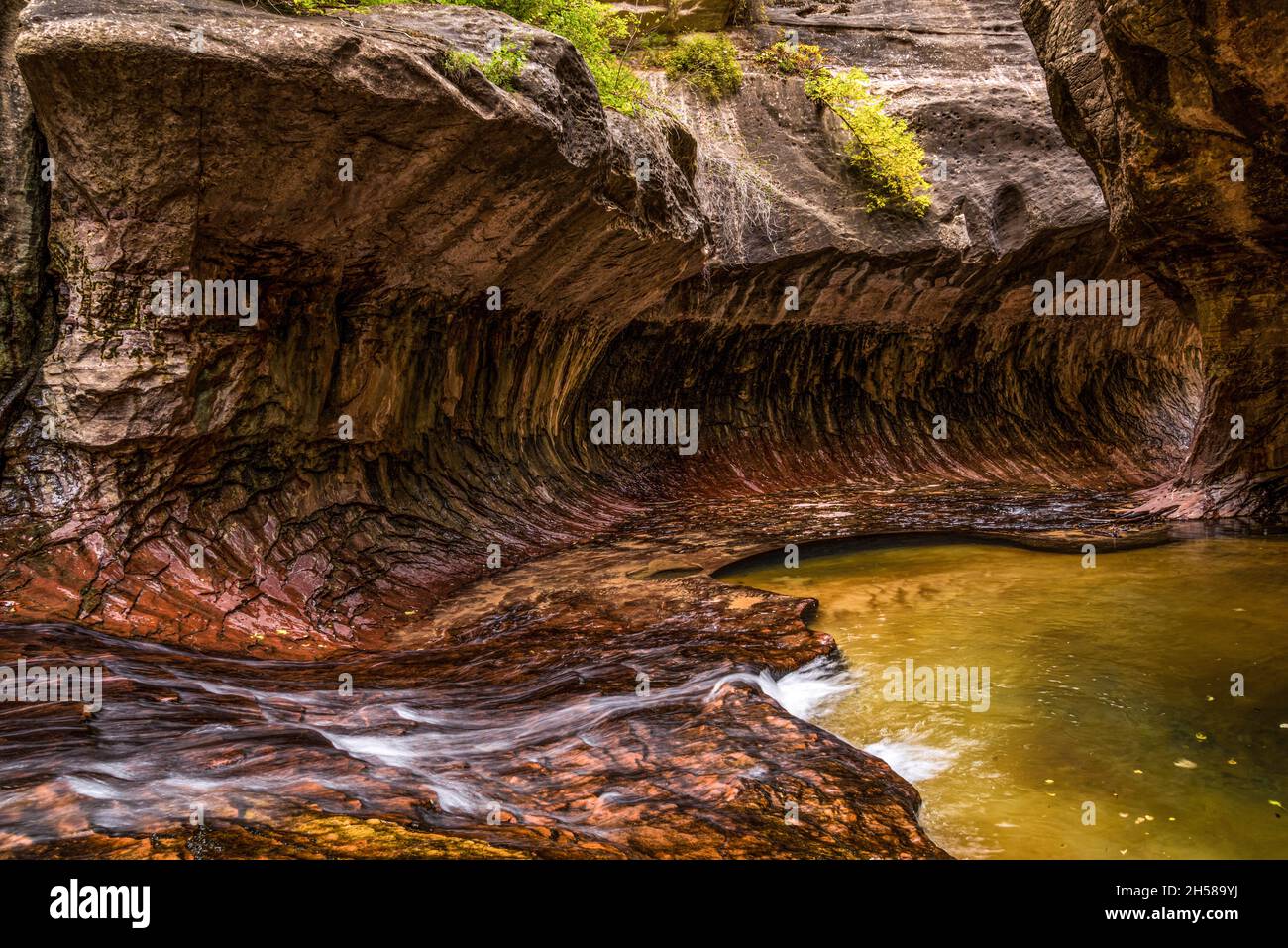 Magnificent Subway gorge landmark in the Zion National Park in Utah, USA Stock Photo